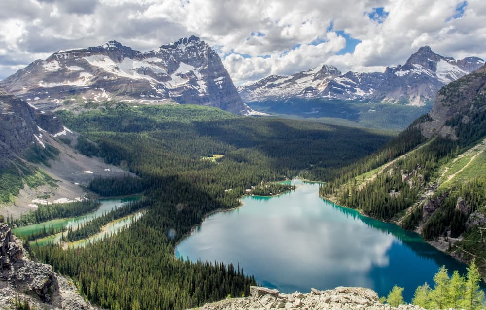 View of the Lake O’Hara valley as seen from the Yukness Ledges. A dense forest surrounds Lake O’Hara and Mary Lake. Snow-capped mountains are visible in the background.