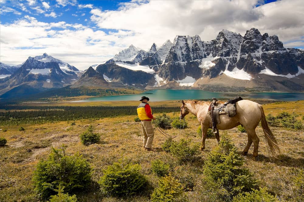 Horse and rider overlooking Tonquin valley.